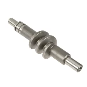 Oryginalny ślimak obrotnicy