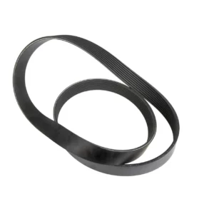 Oryginalny pasek klinowy wielorowkowy 8 PK x 1442 lp o numerze katalogowym 545954.0