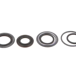 Oryginalny komplet pierścieni uszczelniających zaworu tylnego podnośnika o numerze katalogowym F246860100030