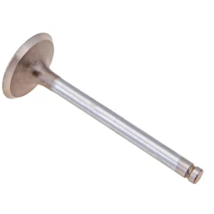 Oryginalny zawór ssący o numerze katalogowym 748413M1