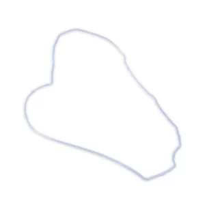 Oryginalna uszczelka pokrywy zaworowej