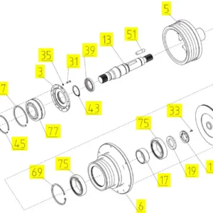 Oryginalny pierścień uszczelniający 55 x 80 o numerze katalogwym 100164282, stosowany w kombajnach zbożowych marki Rostselmash- schemat.