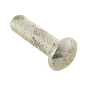 Oryginalny nit z łbem grzybkowym o wymiarach M6 x 20 i numerze katalogowym 100176219