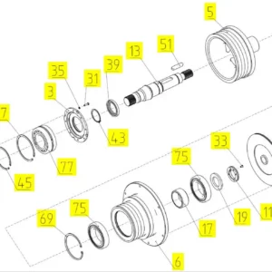 Oryginalny pierścień uszczelniający o numerze katalogowym 101010994, stosowany w kombajnach zbożowych marki Rostselmash- schemat.