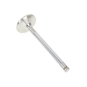 Oryginalny zawór ssący o numerze katalogowym F824200410140