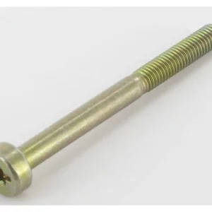 Śruba z łbem walcowym M5x55