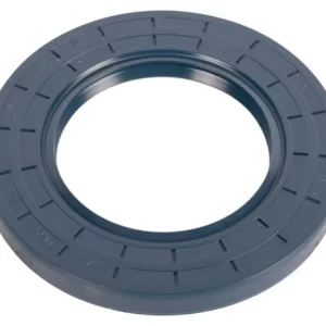 Oil gasket