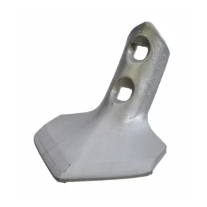 Gęsiostopa dwuotworowa