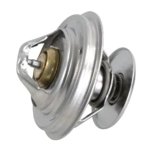Termostat Steyr