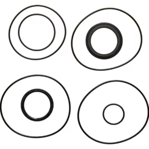 Zestaw uszczelnień silnika AS100