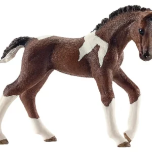 Źrebię trakeńskie