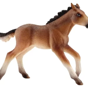 Źrebię Mustang