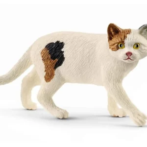 Kot krótkowłosy amerykański