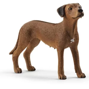 Pies Rhodesian Ridgeback