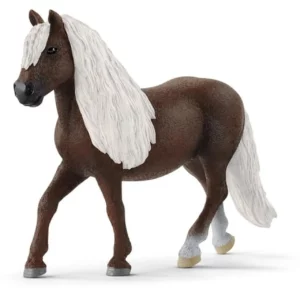 Klacz rasy Black Forest