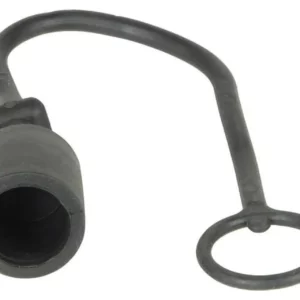 Dust cap plug