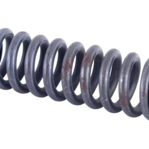 Sprężyna widełek skrzyni biegów