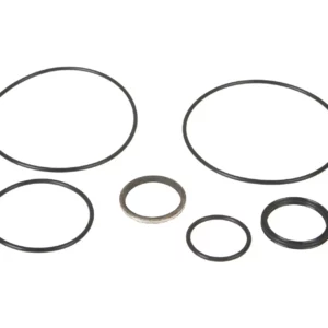 Oryginalny zestaw uszczelek gumowych o numerze katalogowym 491300831001