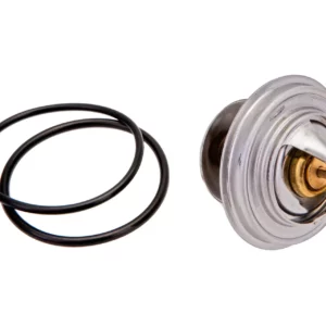 Oryginalny termostat o numerze katalogowym 4105.79D