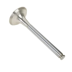 Zawór wydechowy om401-441 o numerze katalogowym 89-0149