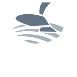 Kongskilde Koło zębate