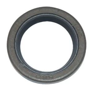 Pierścień uszczelniający wału